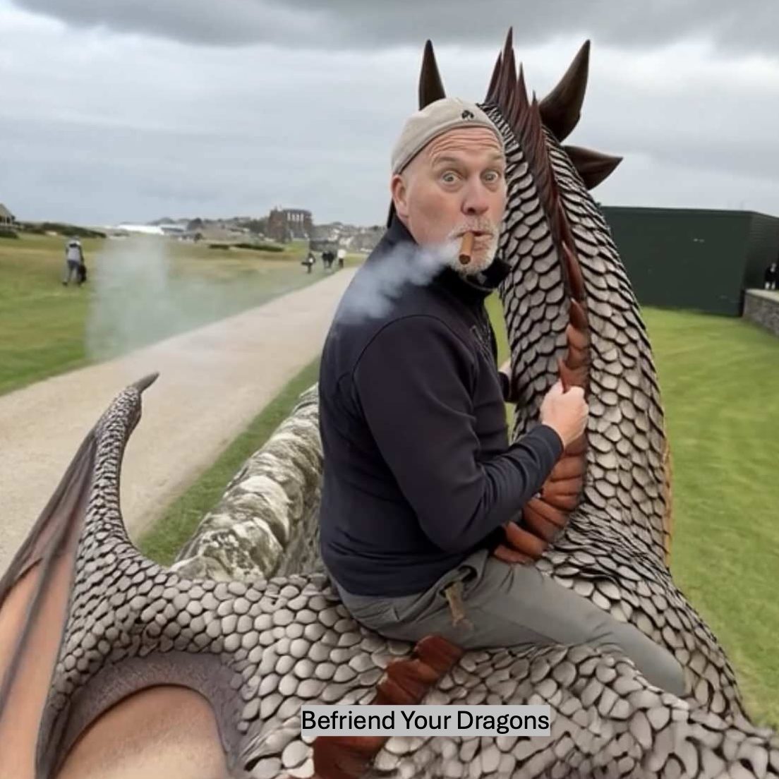 Befriend Your Dragons Decorative Photo